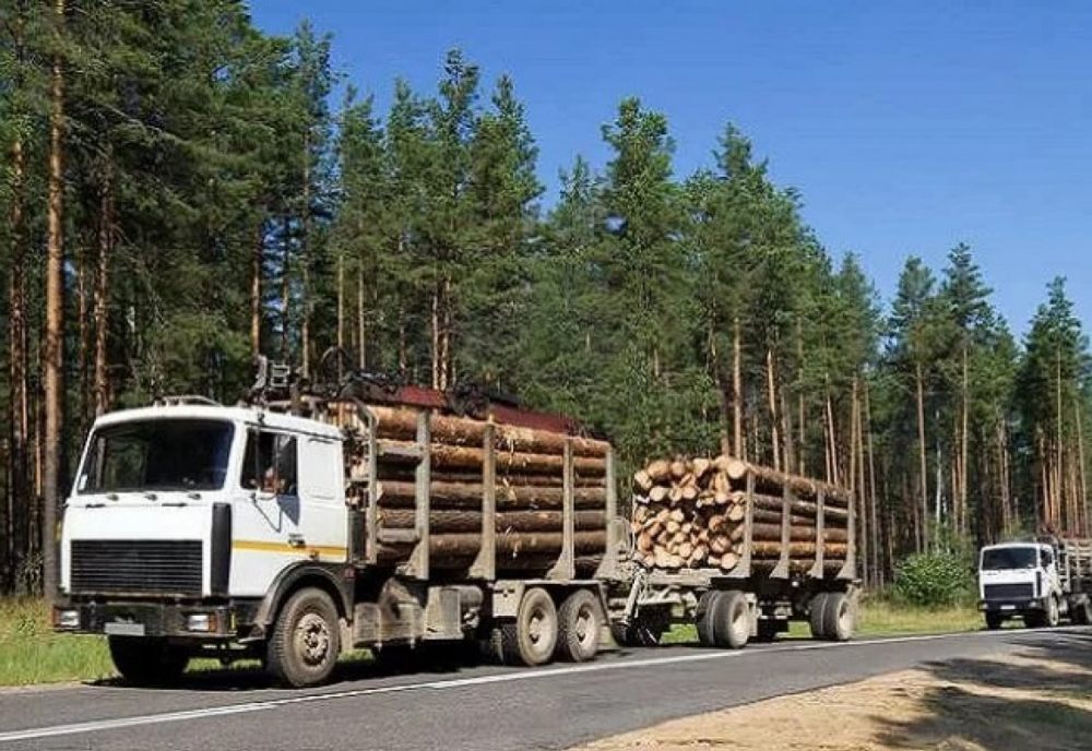 Лесовоз Лесовозы для перевозки леса, аренда и услуги. взять в аренду, заказать, цены, услуги - Сретенск