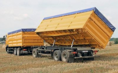 Услуги зерновозов для перевозки зерна - Шилка, цены, предложения специалистов